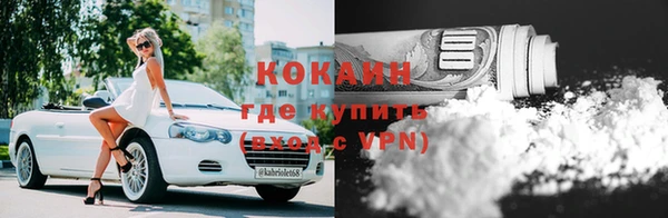 спиды Богородицк