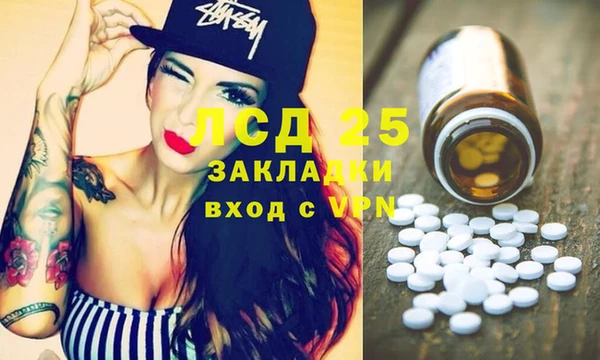 спиды Богородицк