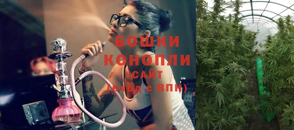 спиды Богородицк