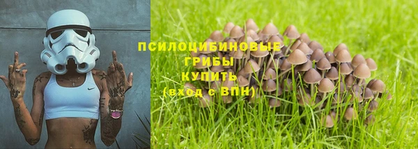 спиды Богородицк