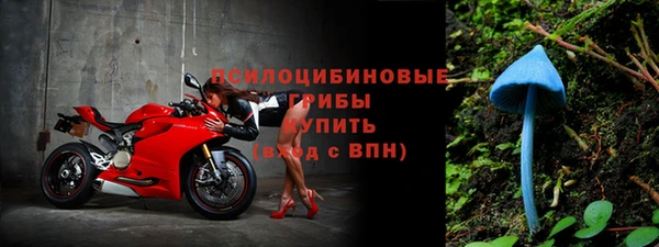 спиды Богородицк