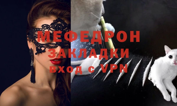 спиды Богородицк